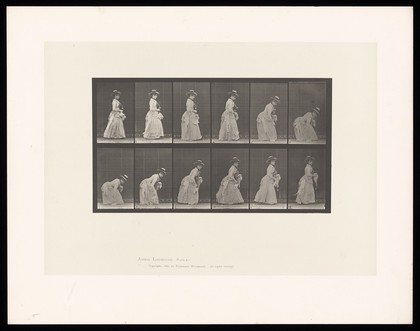 A clothed woman walking and bending to her right side to pick up a handkerchief she has dropped, holding a parasol in her left hand. Collotype after Eadweard Muybridge, 1887.