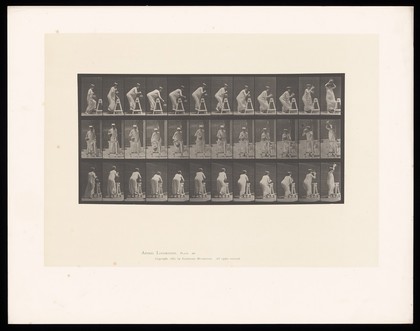 A clothed woman stepping on to and off a trestle, lowering a jug over to the other side of it then raising the jug above her head. Collotype after Eadweard Muybridge, 1887.