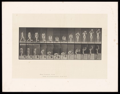 A naked woman walking to a water pitcher, picking it up and raising it above her head. Collotype after Eadweard Muybridge, 1887.