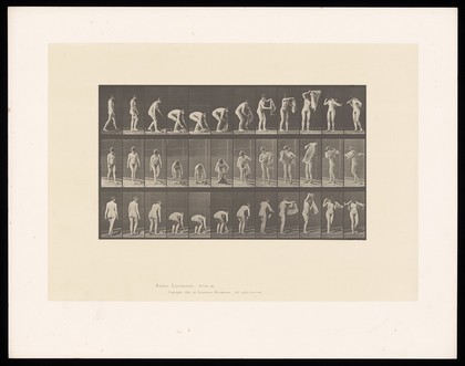 A naked woman bending to pick up a cloth, straightening up and placing it around her shoulders. Collotype after Eadweard Muybridge, 1887.