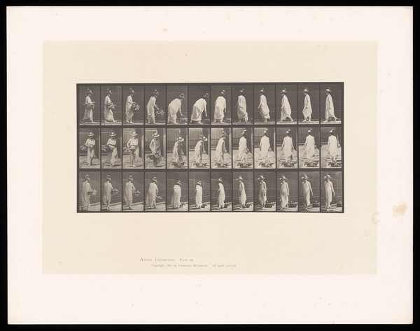 A clothed woman bending to place a basket on the ground, turning and walking away. Collotype after Eadweard Muybridge, 1887.
