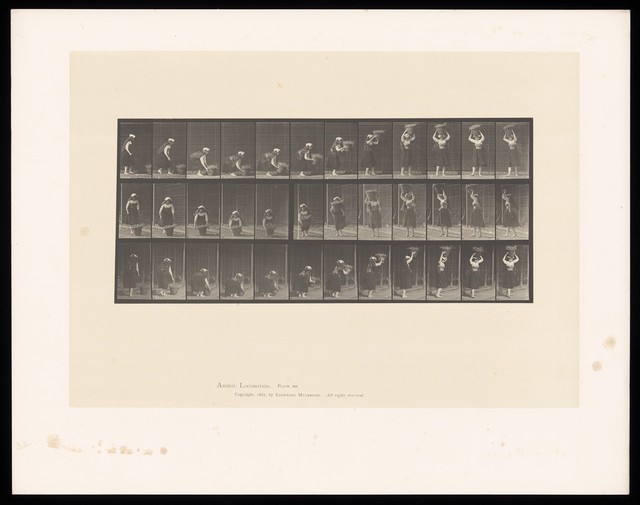 digitised image 1