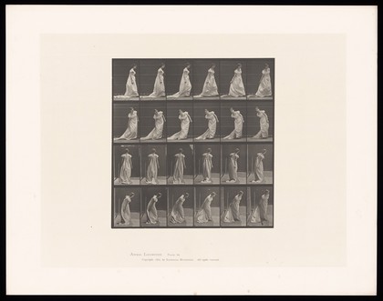 A clothed woman bending to her right to grasp the train of her dress and then turning. Collotype after Eadweard Muybridge, 1887.