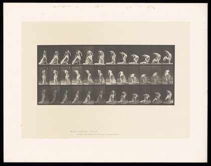 A near naked woman walking and bending to her right to pick up a length of cloth, fastened around her hips and dragging behind her on the ground. Collotype after Eadweard Muybridge, 1887.