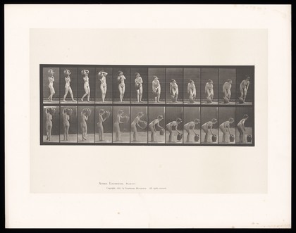 A naked woman carrying a water pitcher on her shoulder, bending to place it on the ground then beginning to straighten up. Collotype after Eadweard Muybridge, 1887.