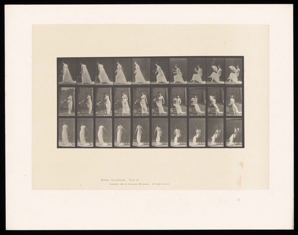 A clothed woman places a chair on the ground, sits on it, crosses her legs and fans herself. Collotype after Eadweard Muybridge, 1887.