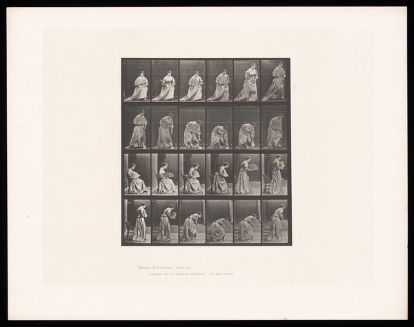 A clothed woman sitting in a wooden chair holds an open fan in her right hand, stands, bends to pick up a handkerchief from the ground and begins to straighten up again. Collotype after Eadweard Muybridge, 1887.