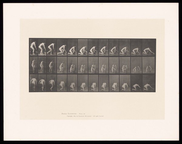 A naked woman places a wooden bucket onto the floor, kneels on her right knee, squeezes the water from a sponge and begins to wash the ground with it in her right hand. Collotype after Eadweard Muybridge, 1887.