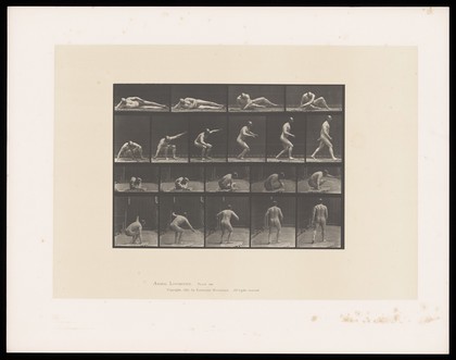 A naked man lies on his right side on a mat, his lower right arm raised to support his head. He turns his torso, raises himself into a standing position and walks off. Collotype after Eadweard Muybridge, 1887.
