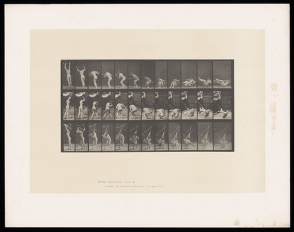 A naked woman lying in a hammock grasps either side of it, swings her legs out onto the ground, stands up and raises the hammock above her head, standing on tiptoes. Collotype after Eadweard Muybridge, 1887.