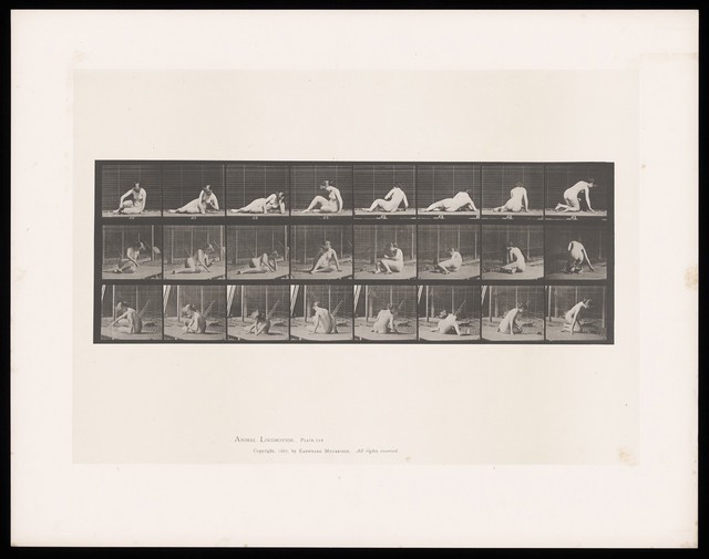 No text description is available for this image