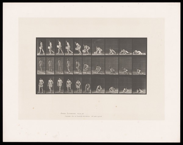 A naked woman is lying on the ground on her right side reading a newspaper, her head resting on her raised right hand. She pushes herself up, stands and walks away, newspaper in her left hand. Collotype after Eadweard Muybridge, 1887.
