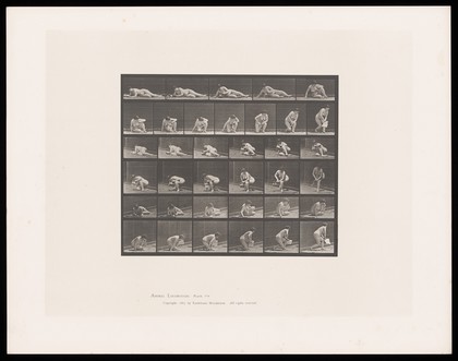 A naked woman is lying on the ground on her right side reading a pamphlet, supporting herself on her elbows. She pushes herself up towards a standing position, pamphlet in her right hand. Collotype after Eadweard Muybridge, 1887.