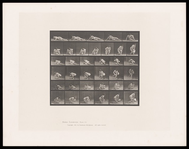 A naked woman is lying on the ground on her right side reading a pamphlet, supporting herself on her elbows. She pushes herself up towards a standing position, pamphlet in her right hand. Collotype after Eadweard Muybridge, 1887.