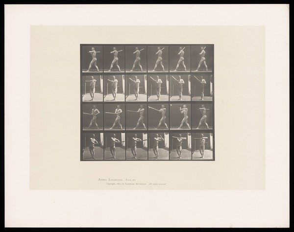 A naked man stands, legs well apart, swinging a baseball bat to hit a ball. Collotype after Eadweard Muybridge, 1887.
