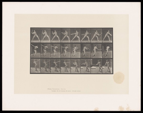 A naked man stands, legs well apart, his body turning as he swings a baseball bat to hit a ball. Collotype after Eadweard Muybridge, 1887.
