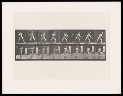 A naked man stands, legs well apart, his torso turning as he swings a baseball bat around his body to hit a ball. Collotype after Eadweard Muybridge, 1887.