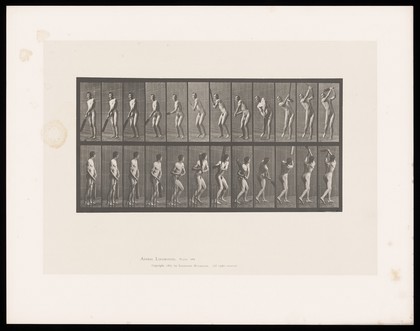 A naked man stands, holding a cricket bat. He swings it back to above his right shoulder, then in front of him to up above his left shoulder. Collotype after Eadweard Muybridge, 1887.