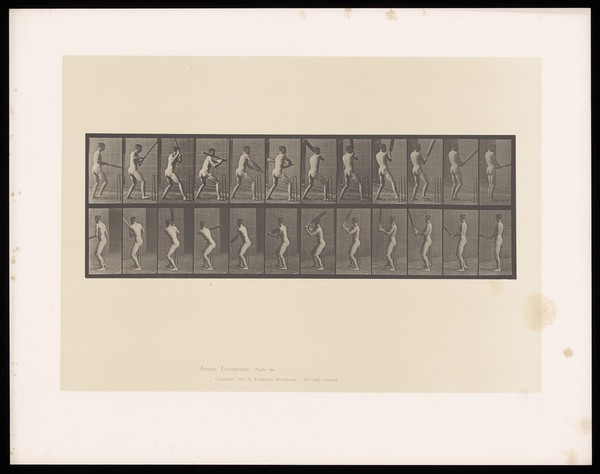 A naked man stands, holding a cricket bat out in front of him. He raises it above his head, swings it round his body, above his head again and down to the starting position. Collotype after Eadweard Muybridge, 1887.