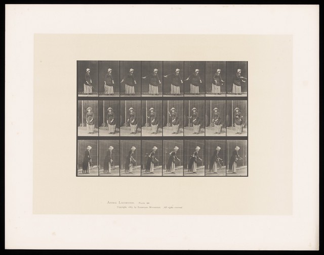 No text description is available for this image