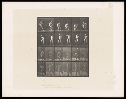 A naked man walks up to a ball, picks it up, turns, then throws it with his right hand. Collotype after Eadweard Muybridge, 1887.