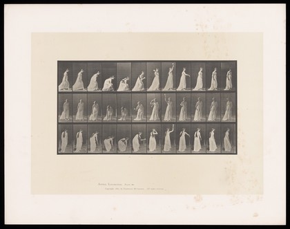 A clothed woman bends to pick up a ball from the ground with her right hand, raises it to shoulder height, throws it, lowers her arm to her side, turns and smiles. Collotype after Eadweard Muybridge, 1887.