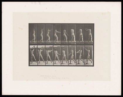 A naked man swings a hammer around his body from above his head and throws it away to his left. Collotype after Eadweard Muybridge, 1887.