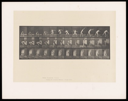 A naked man bends to pick up a metal ball with his right hand, stands and turns as he throws it. Collotype after Eadweard Muybridge, 1887.