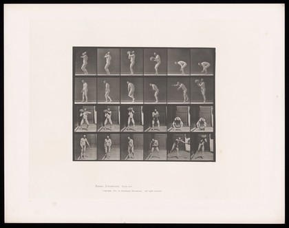 A naked man bends to pick up a rock, lifts it above his right shoulder, throws it away and staggers against the wall on his right afterwards. Collotype after Eadweard Muybridge, 1887.