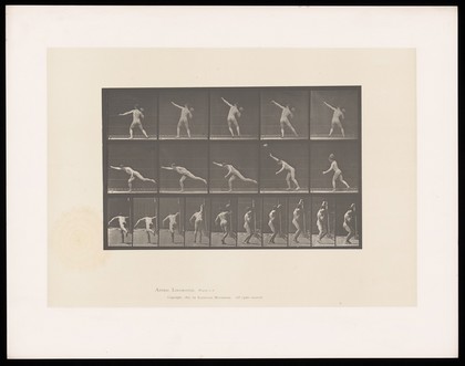 A naked man throws a rock with his right hand, briefly jumping as he does, landing on his right leg, leaning forwards, his left leg and right arm stretched out. Collotype after Eadweard Muybridge, 1887.