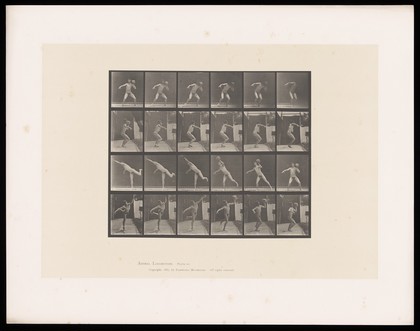 A naked man holds a rock at shoulder height, leans forward to throw it, standing on his right leg as he does. Collotype after Eadweard Muybridge, 1887.
