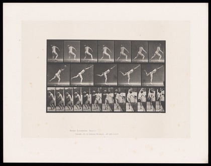 A naked man holds a rock in his left hand at shoulder height, turns and throws it, leaning forwards and raising his left leg behind him. Collotype after Eadweard Muybridge, 1887.