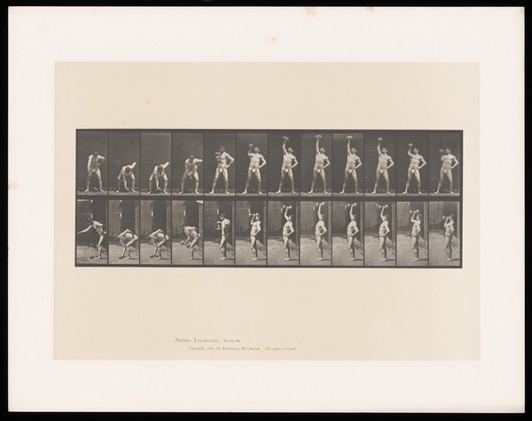 A man in a posing pouch bends, picks up a dumb-bell in his right hand, lifts it above his head then lowers it to his shoulder. Collotype after Eadweard Muybridge, 1887.