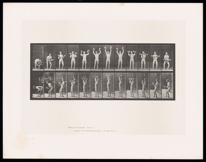 A man in a posing pouch bends, picks up a dumb-bell in each hand, lifts them above his head then lowers them to his waist. Collotype after Eadweard Muybridge, 1887.