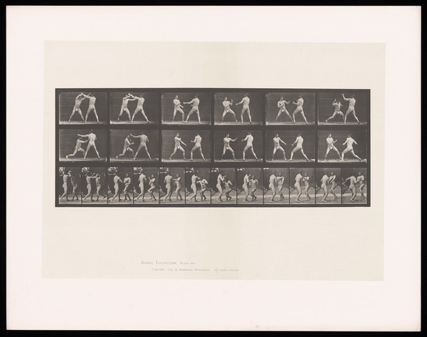 Two men in posing pouches stand, facing one another, fists raised and exchange blows. Collotype after Eadweard Muybridge, 1887.