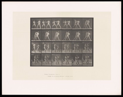 Two men in posing pouches stand, facing one another, fists raised, exchanging blows. Collotype after Eadweard Muybridge, 1887.