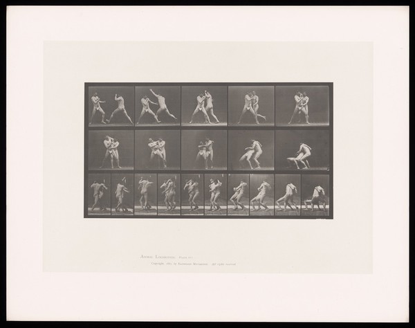 Two men in posing pouches stand, facing one another: one grasps the other, forcing him backwards towards the ground. Collotype after Eadweard Muybridge, 1887.