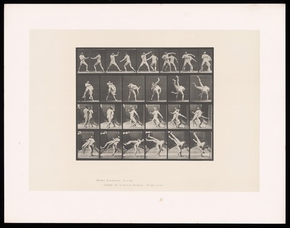 Two men in posing pouches stand, facing one another, fists raised: one grasps the other round the chest with his left arm, bends, lifting and swinging him over his back, legs in the air. Collotype after Eadweard Muybridge, 1887.