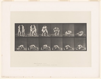 Two naked men face one another, grapple, one forces the other to the ground then lowers himself on top of him. Collotype after Eadweard Muybridge, 1887.