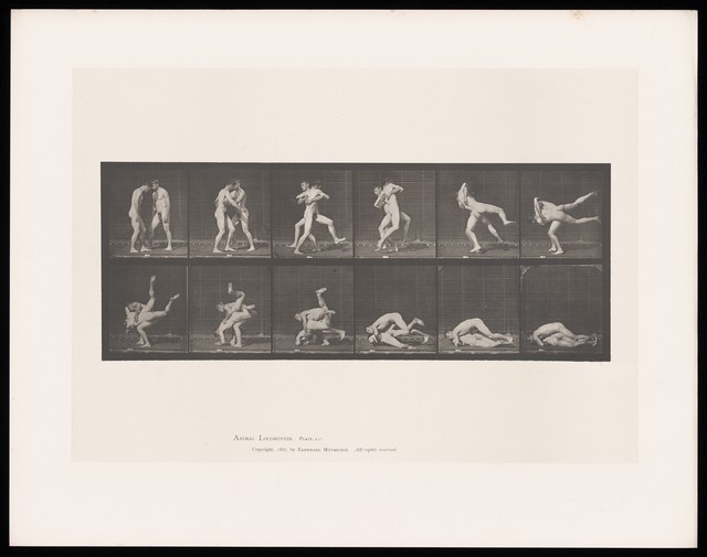 No text description is available for this image