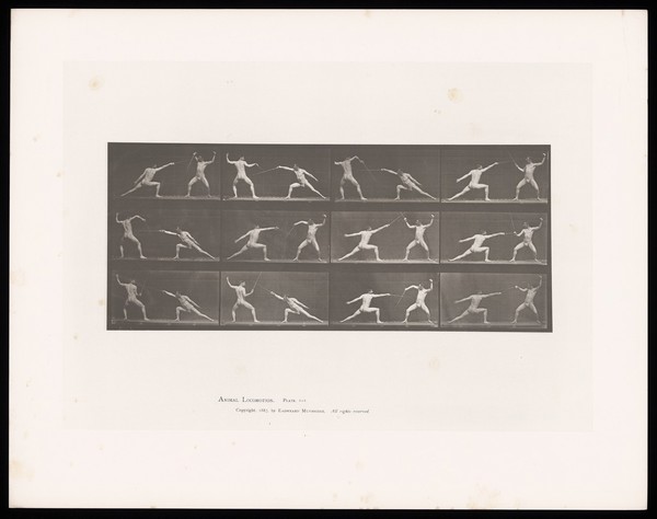 Two men in posing pouches thrust and parry with swords held in their right hands. Collotype after Eadweard Muybridge, 1887.