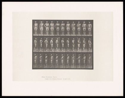 A man in loin cloth and belt stands to attention, holding a rifle in his right hand, raises it, angled behind his head and lowers it again. Collotype after Eadweard Muybridge, 1887.