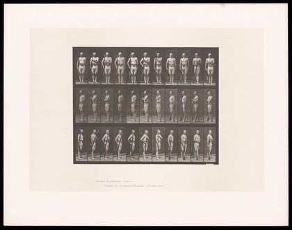 A man in a loin cloth and belt stands to attention, a rifle in his right hand: he grasps it with his left, raises then lowers it, resting the butt on the ground. Collotype after Eadweard Muybridge, 1887.