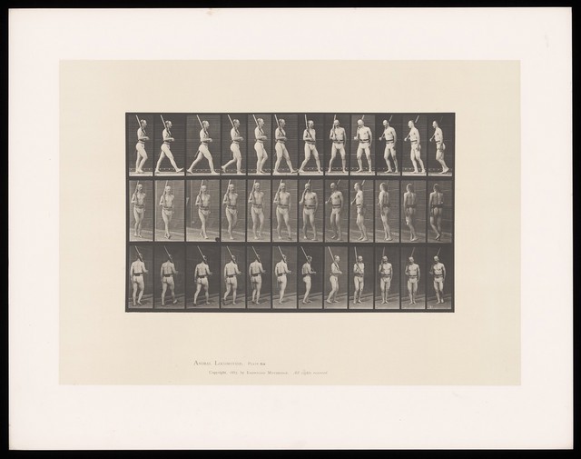 digitised image 1