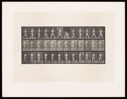 A man in a loin cloth and belt walks, carrying a rifle with fixed bayonet. Collotype after Eadweard Muybridge, 1887.