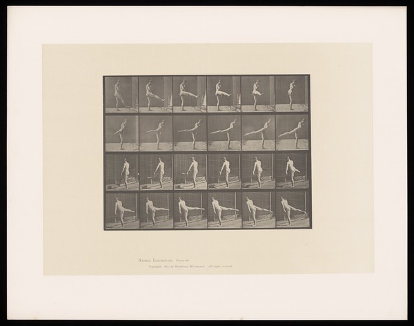 A naked man raises his right leg to hip height in front of him then rotates it round to behind him. Collotype after Eadweard Muybridge, 1887.
