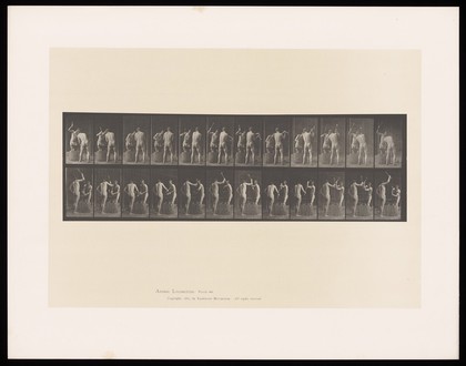 Two men in posing pouches pound an anvil mounted on a block of wood with hammers. Collotype after Eadweard Muybridge, 1887.