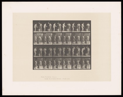 Two naked men stand at an anvil: one holds a piece of curved metal and both pound it with hammers. Collotype after Eadweard Muybridge, 1887.