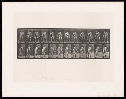 A naked man bends slightly, moving a scythe to and fro in front of him. Collotype after Eadweard Muybridge, 1887.