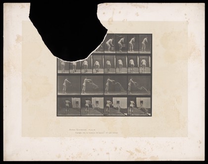 A naked woman empties a bucket of water she is carrying. Collotype after Eadweard Muybridge, 1887.